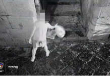 VIDEO/ Eboli, guerra con le fototrappole agli incivili: “Repressione necessaria”