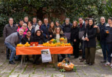Lettera aperta dei genitori di ragazzi autistici e disabili dell’Associazione Melagrana: “Assicurare continuità ai Progetti Terapeutici”