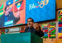 Docente universitario della “Giustino Fortunato” protagonista al World Food Forum 2025