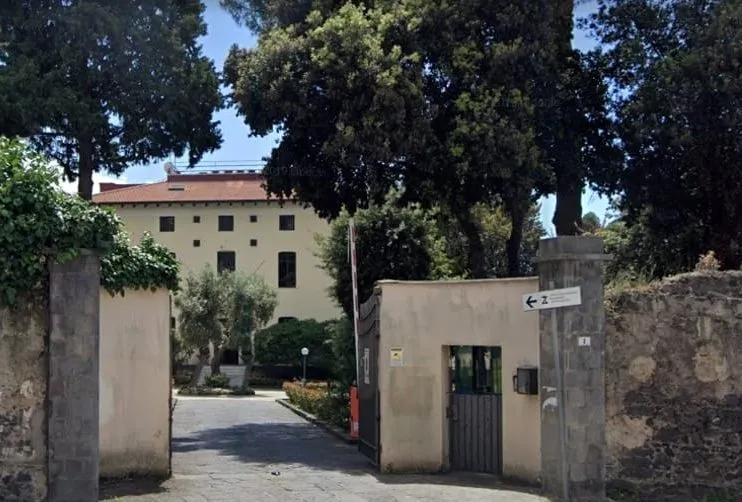Giovane lupa investita e uccisa sulla provinciale irpina Giovane lupa investita e uccisa sulla provinciale irpina