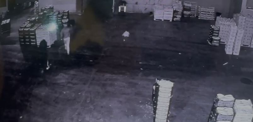 furto al centro agroalimentare colpite 18 imprese torna il problema sicurezza