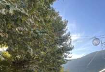 Week-end di sagra a Vitulano, il sindaco Scarinzi: “Momento di orgoglio per la nostra comunità”