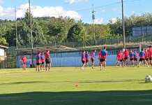 Scognamillo e Salvemini stringono i denti in vista del Team Altamura: Prisco pronto al rientro