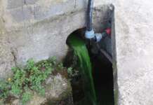 Carabinieri Forestale e Guardie AK denunciano imprenditore per illecito smaltimento di rifiuti