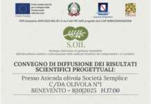 Benevento, oggi la presentazione dei risultati del progetto S.OIL