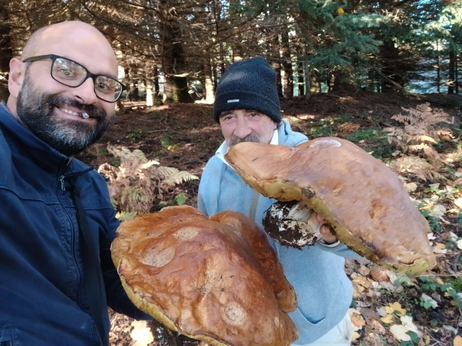 Spunta un porcino da record: 2,8 chili di meraviglia nei boschi irpini Spunta un porcino da record: 2,8 chili di meraviglia nei boschi irpini