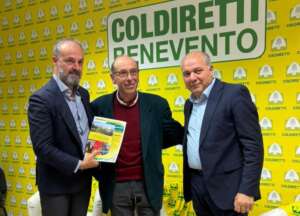 Fernando Errico