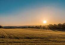 Terreni in disuso e fotovoltaico: nuove opportunità di investimento nel settore agricolo
