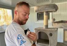 Benevento, LNDC Animal Protection realizza un rifugio per gatti malati e disabili con il sostegno di Giorgio Panariello