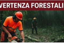 Vertenza forestali: fondi FESR inadeguati, procedure bloccate, stipendi fermi. Basta scaricabarile tra Regione e Enti Delegati.