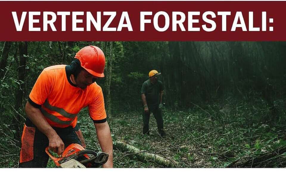 Vertenza forestali: fondi FESR inadeguati, procedure bloccate, stipendi fermi. Basta scaricabarile tra Regione e Enti Delegati. Vertenza forestali: fondi FESR inadeguati, procedure bloccate, stipendi fermi. Basta scaricabarile tra Regione e Enti Delegati.