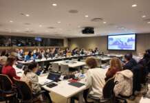Onu, istituita la Giornata Internazionale della Dieta Mediterranea: protagonista a New York il Comune di Pollica