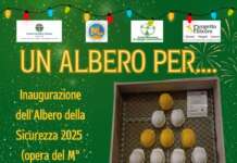 Lavoro, torna l’Albero della Sicurezza di Sbolzani
