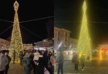 VIDEO/ In Piazza spunta l’Albero più grande: ed ora è “all’altezza?”