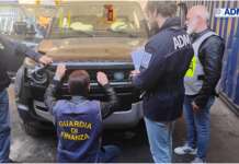 Porto di Salerno, sequestrate 10 auto rubate in Canada e dirette in Guinea