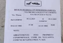 Napoli, pino storico da abbattere all’Arenella: nuova data, e riparte la protesta