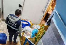 Pesce sulle tavole, maxi operazione della Capitaneria: ecco dove