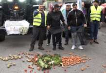 VIDEO/ Gli agricoltori tornano in piazza: cibo a terra per protesta