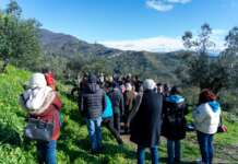 Un Patto per le Aree Interne: dal Cilento una nuova alleanza contro lo spopolamento