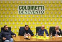 Crisi del latte, Coldiretti Benevento incontra gli allevatori: “Stop ai tagli unilaterali dei prezzi”