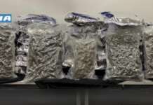 Carico di droga dalla Spagna a Napoli in un distributore di bevande