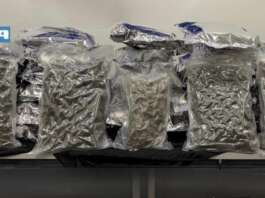 Carico di droga dalla Spagna a Napoli in un distributore di bevande