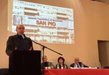 Emergenza Pronto Soccorso, Errico (FI): “Subito un tavolo permanente per dare risposte concrete alla sanità sannita”