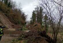 FOTO/ Smottamento lungo la provinciale 12, fango e alberi invadono la strada