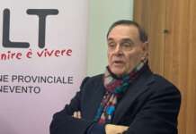 Eccidio Amendolara, Mastella: “Tributo di sangue pagato alla cultura dello scarto: lotta ad agromafie e caporalato”