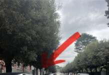 Strisce sbiadite e cartelli coperti in Viale degli Atlantici: la rabbia di una cittadina multata