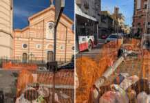 San Giovanni a Teduccio, palo travolto da albero: mai rimosso in 3 mesi, ora è una discarica illegale