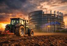 Agricoltori spremuti? L’Europa cambia le regole e dice ‘stop alle pratiche sleali’