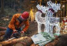 Comunità Montana del Fortore, niente stipendi ma scoppia il caso Molinara: chi ha montato le luminarie?