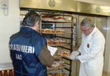 Controlli NAS, scatta lo stop in Irpinia: gravi carenze igieniche