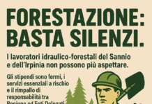 Vertenza forestali, l’appello di FAI-CISL: “Dignità per i lavoratori e tutela del territorio”