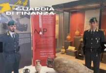 Gdf, restituiti preziosi reperti al Museo archeologico di Pontecagnano