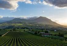 Benevento, il 25 febbraio si terrà il Sannio Top Wines 2026: le aziende premiate