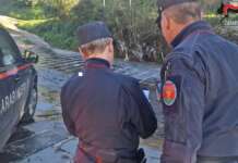 Cane ritrovato impiccato: la macabra scoperta in Irpinia