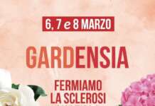 Due fiori contro la sclerosi multipla, l’8 Marzo arriva a Foglianise