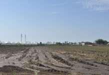 Reflui bufalini nella Piana del Sele, Paestum Energia Futura: “Fermare gli scarichi abusivi nei canali”