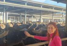 L’agricoltura in Campania è donna: la testimonianza di Marina Reale