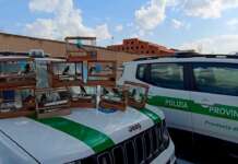 Uccelli accecati per aumentarne il canto: sequestrati 19 cardellini