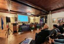 Reti di Inclusione e volontariato nelle aree interne: analisi dei bisogni, progettualità condivisa e rafforzamento degli ETS