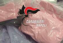 Cocaina rosa, dosi per 100mila euro nella casa di una mamma pusher incensurata