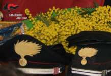 Festa della donna, appello dei Carabinieri: denunciate gli abusi