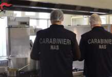 Sequestrati 12 quintali di alimenti irregolari: blitz anche nel Sannio