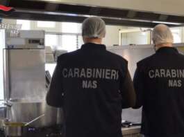 Gravi carenze igieniche: chiuso un bar dopo i controlli dei Nas Nas
