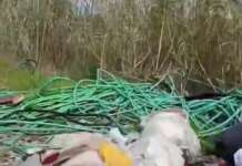 Lago Patria, la denuncia: “Maxi rogo discarica illegale 2 anni fa, tutto come prima”