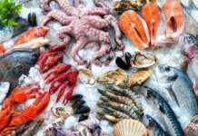 Rischio contagio epatite A, ordinanza urgente nel Sannio: stop alla somministrazione di frutti di mare crudi