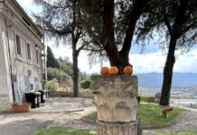 Amici della Terra – Club di Benevento: “Vandalizzati i giardini della Rocca dei Rettori”